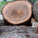 درباره ی چوب